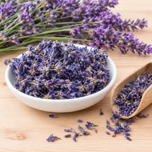 Flores de lavanda seca e ramos frescos para aromaterapia
