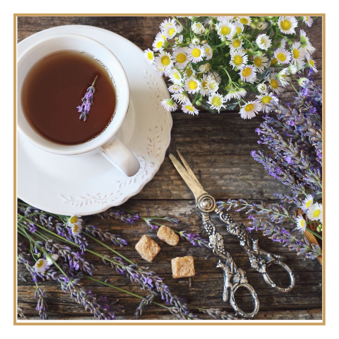 Lavanda em Flor — Aroma Suave para Infusões e Rituais de Descanso