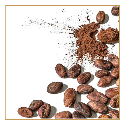 Cacau em Pó Puro Ecológico | Nutrição, Conforto e Bem-Estar Natural