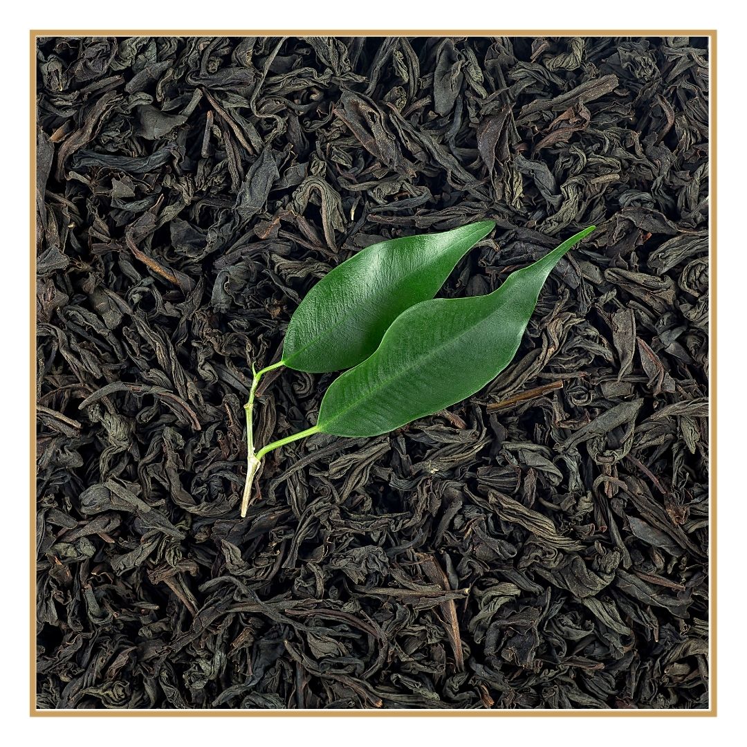 Darjeeling Ambotia | Chá Preto Premium para Presença e Clareza