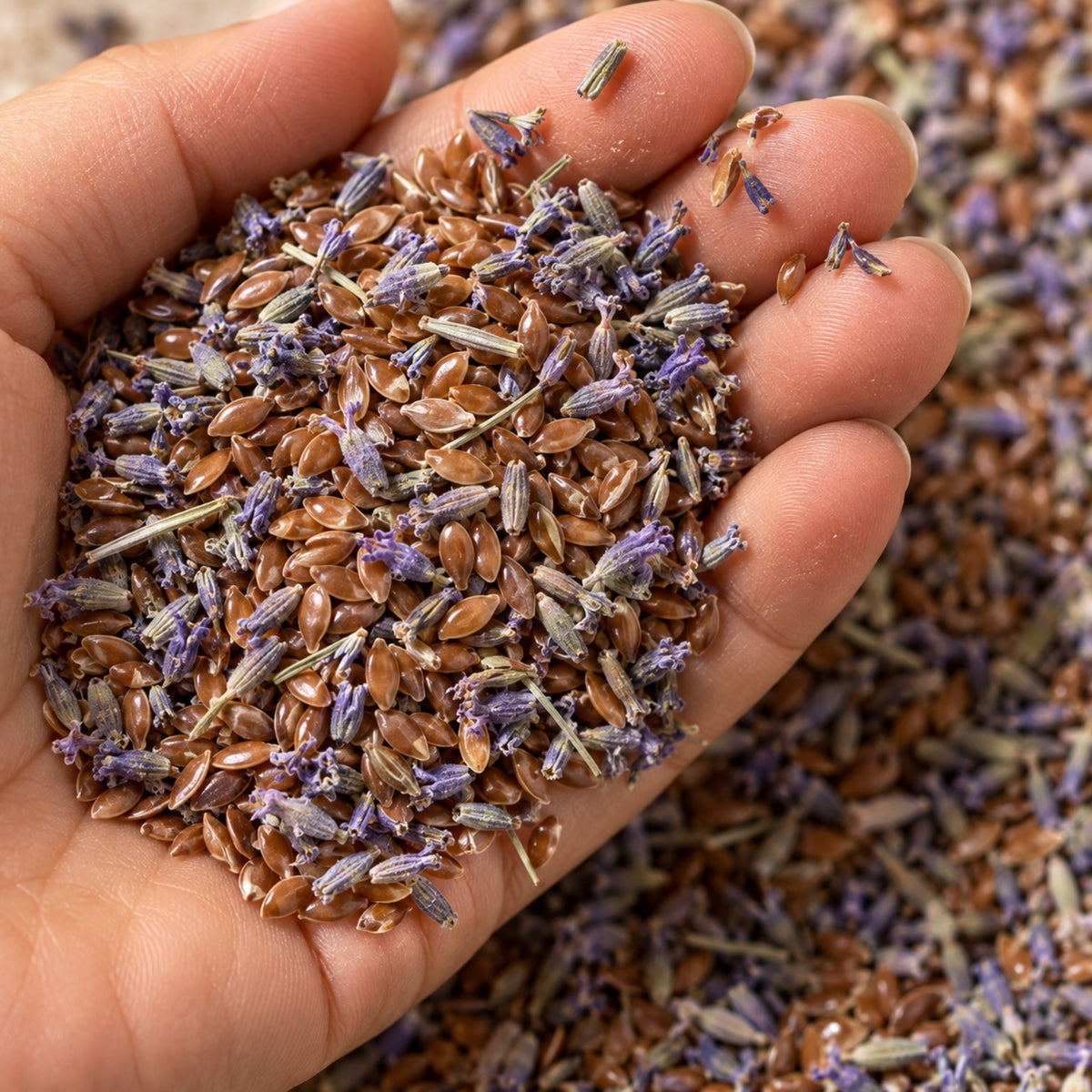 Sementes de linhaça e flores secas de lavanda usadas no enchimento
