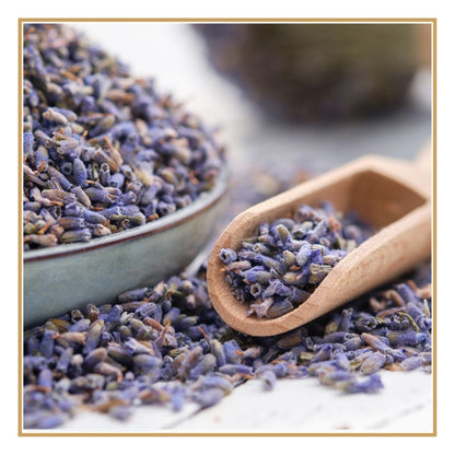 Lavanda em Flor — Aroma Suave para Infusões e Rituais de Descanso