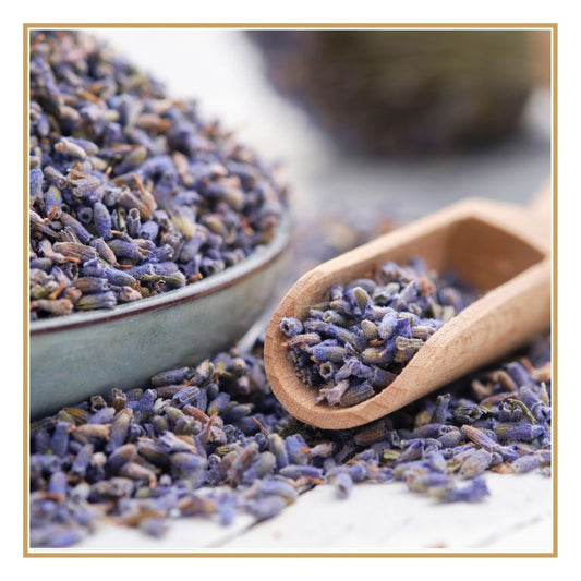 Lavanda em Flor — Aroma Suave para Infusões e Rituais de Descanso
