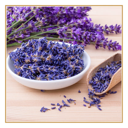 Óleo Essencial de Lavanda — Aroma Floral para Rituais de Descanso