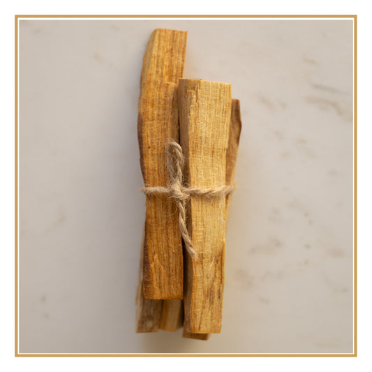 Palo Santo — Madeira Aromática para Rituais de Presença